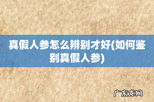 如何鉴别真假人参 真假人参怎么辨别才好