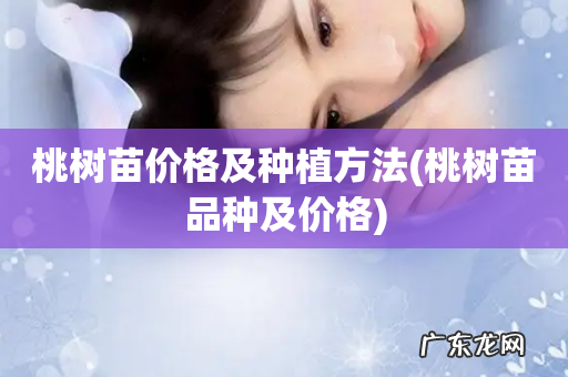 桃树苗品种及价格 桃树苗价格及种植方法