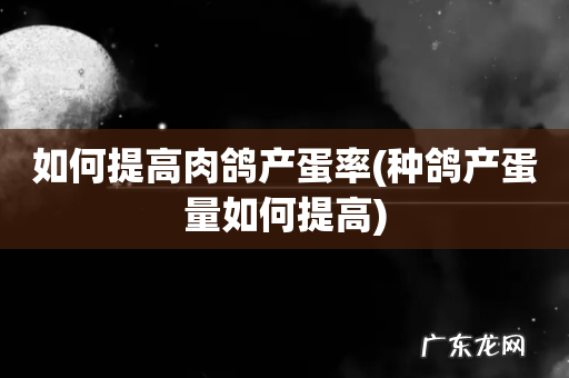 种鸽产蛋量如何提高 如何提高肉鸽产蛋率