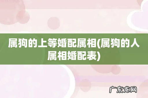 属狗的人属相婚配表 属狗的上等婚配属相