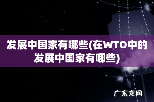 在WTO中的发展中国家有哪些 发展中国家有哪些