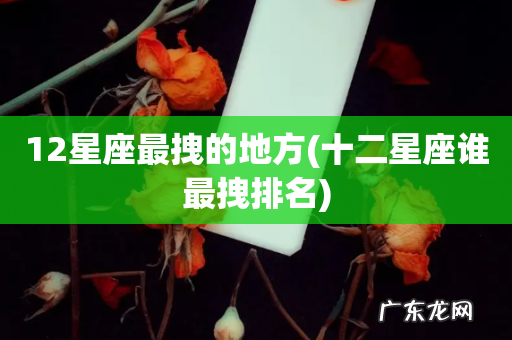十二星座谁最拽排名 12星座最拽的地方