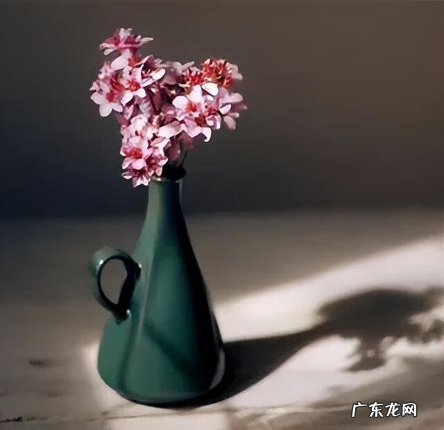 自我陶醉 自我欣赏是什么意思