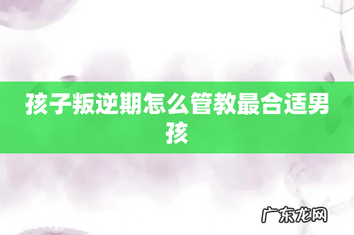 孩子叛逆期怎么管教最合适男孩