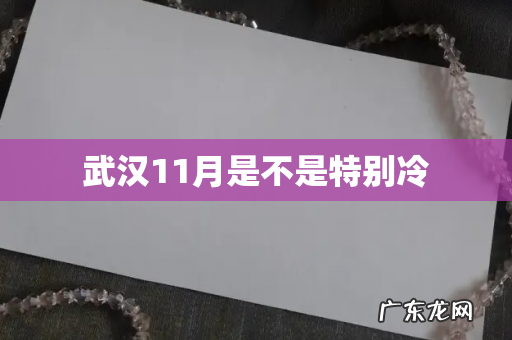 武汉11月是不是特别冷