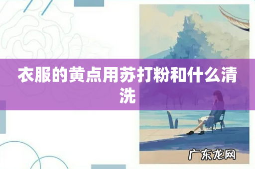 衣服的黄点用苏打粉和什么清洗