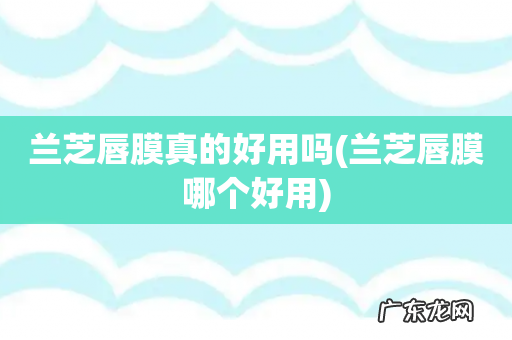 兰芝唇膜哪个好用 兰芝唇膜真的好用吗