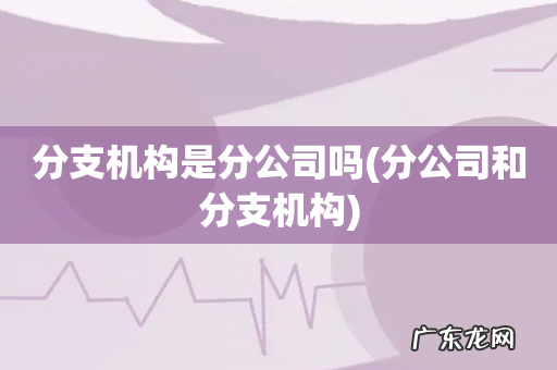 分公司和分支机构 分支机构是分公司吗