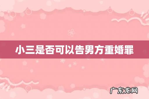 小三是否可以告男方重婚罪