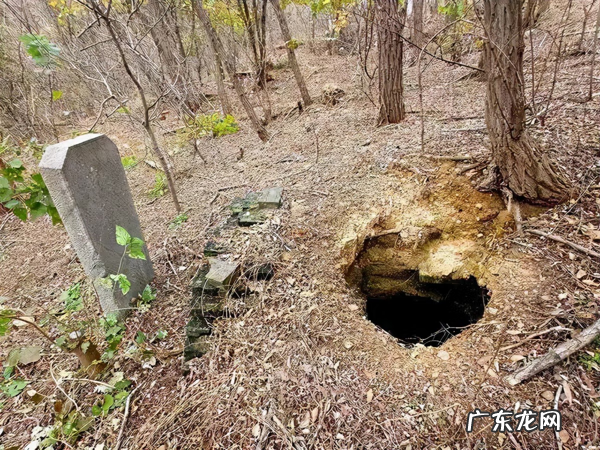小区有蛇是风水好吗 风水蛇是什么样子的