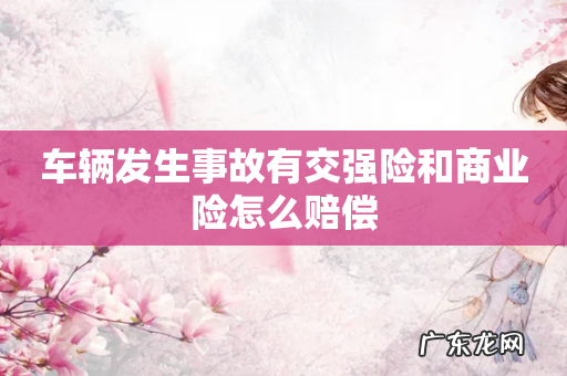 车辆发生事故有交强险和商业险怎么赔偿