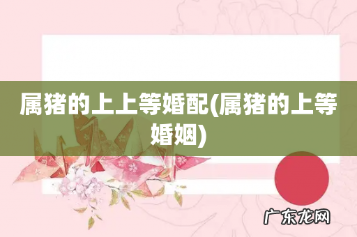 属猪的上等婚姻 属猪的上上等婚配