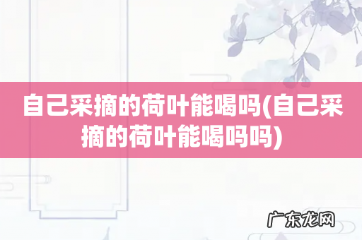 自己采摘的荷叶能喝吗吗 自己采摘的荷叶能喝吗