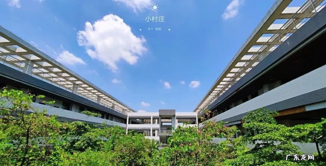 广东金融学院冷门专业 广东金融学院校园风光