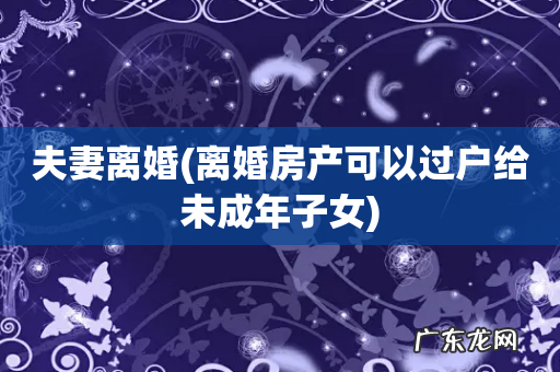 离婚房产可以过户给未成年子女 夫妻离婚