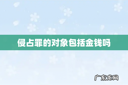 侵占罪的对象包括金钱吗
