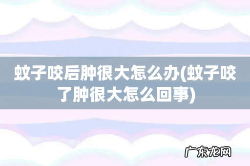 蚊子咬了肿很大怎么回事 蚊子咬后肿很大怎么办