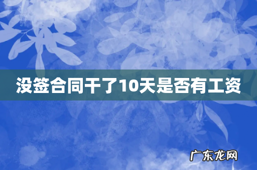 没签合同干了10天是否有工资