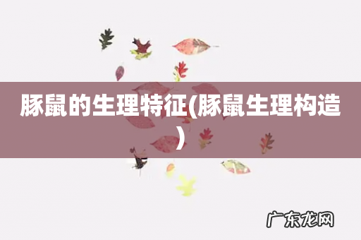 豚鼠生理构造 豚鼠的生理特征