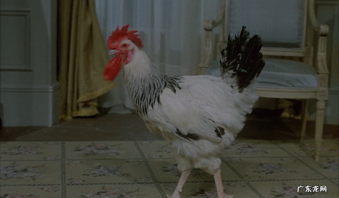 网络吧 不爽网络语