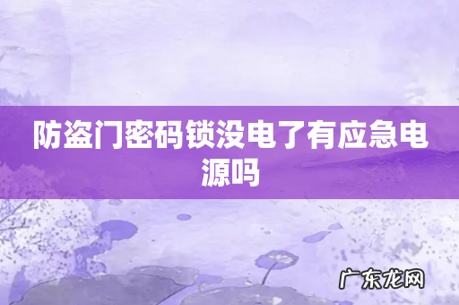 防盗门密码锁没电了有应急电源吗