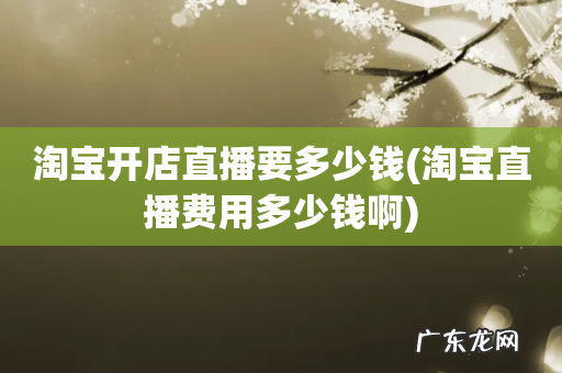 淘宝直播费用多少钱啊 淘宝开店直播要多少钱