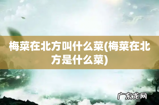 梅菜在北方是什么菜 梅菜在北方叫什么菜