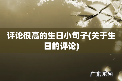 关于生日的评论 评论很高的生日小句子