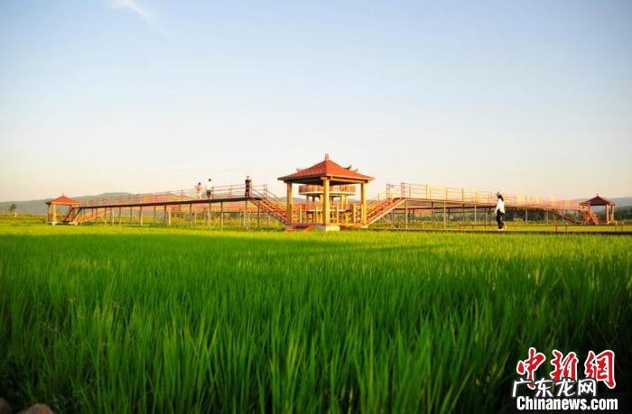 管风水的神仙 光东男女神仙光神仙风水