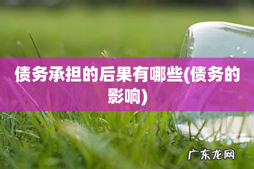 债务的影响 债务承担的后果有哪些