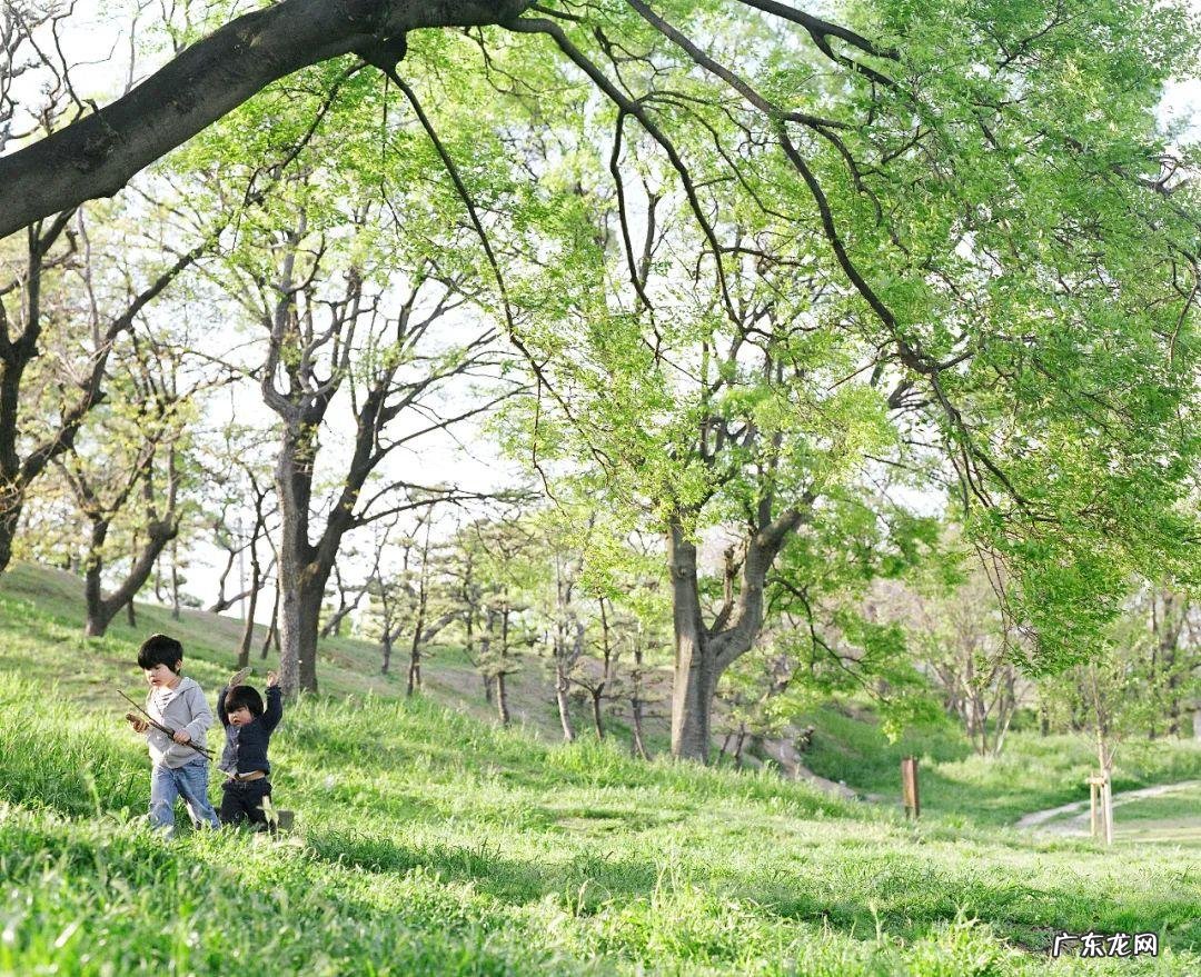 摄影学校 儿童专业摄影培训班