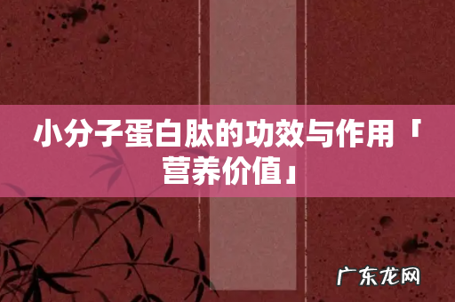 小分子蛋白肽的功效与作用「营养价值」