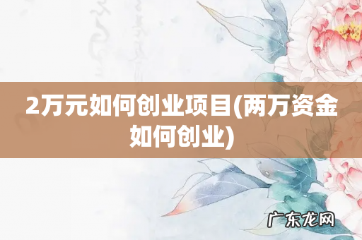 两万资金如何创业 2万元如何创业项目