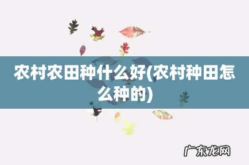 农村种田怎么种的 农村农田种什么好
