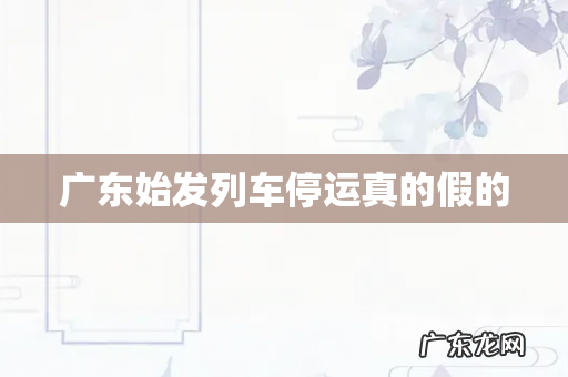 广东始发列车停运真的假的