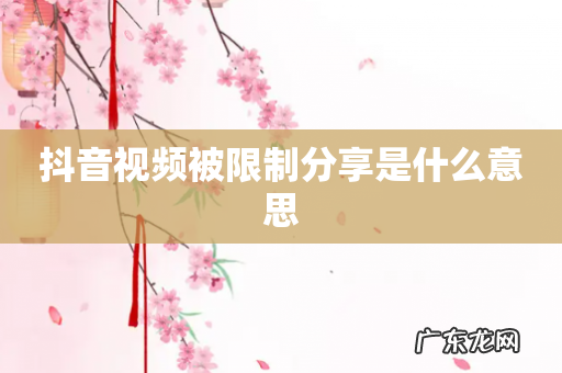 抖音视频被限制分享是什么意思