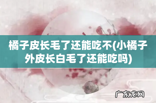 小橘子外皮长白毛了还能吃吗 橘子皮长毛了还能吃不
