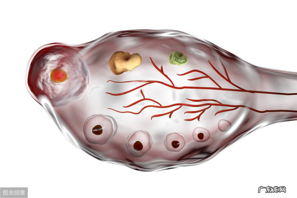 不能排卵有什么症状 不排卵是什么原因造成的