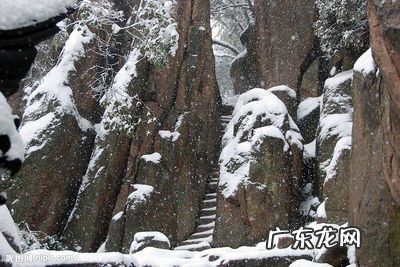 明星找的风水大师叫什么林 风水先生林娘寿