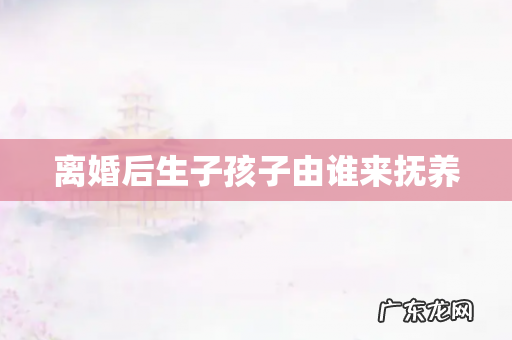 离婚后生子孩子由谁来抚养