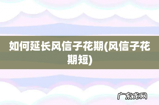 风信子花期短 如何延长风信子花期