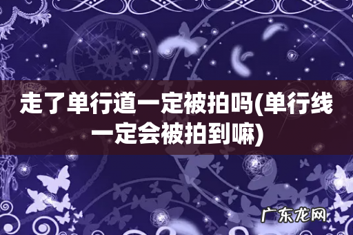 单行线一定会被拍到嘛 走了单行道一定被拍吗