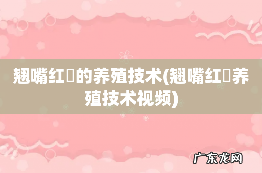 翘嘴红鲌养殖技术视频 翘嘴红鲌的养殖技术