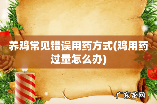 鸡用药过量怎么办 养鸡常见错误用药方式
