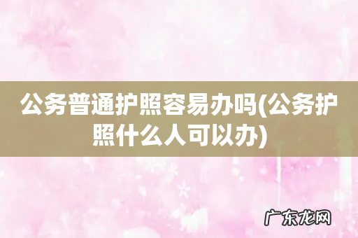 公务护照什么人可以办 公务普通护照容易办吗