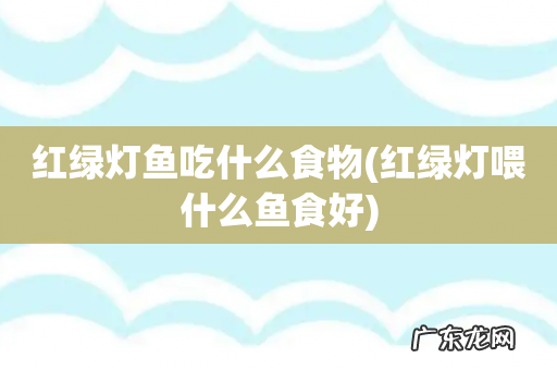 红绿灯喂什么鱼食好 红绿灯鱼吃什么食物