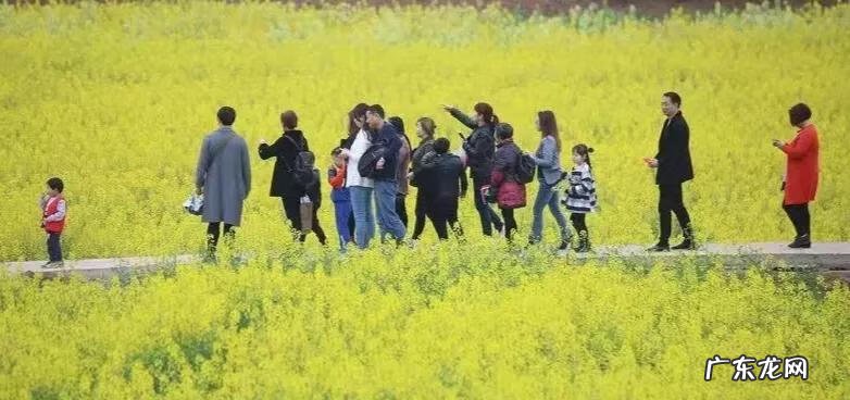 南充龙脉在哪里 南充龙角山景区