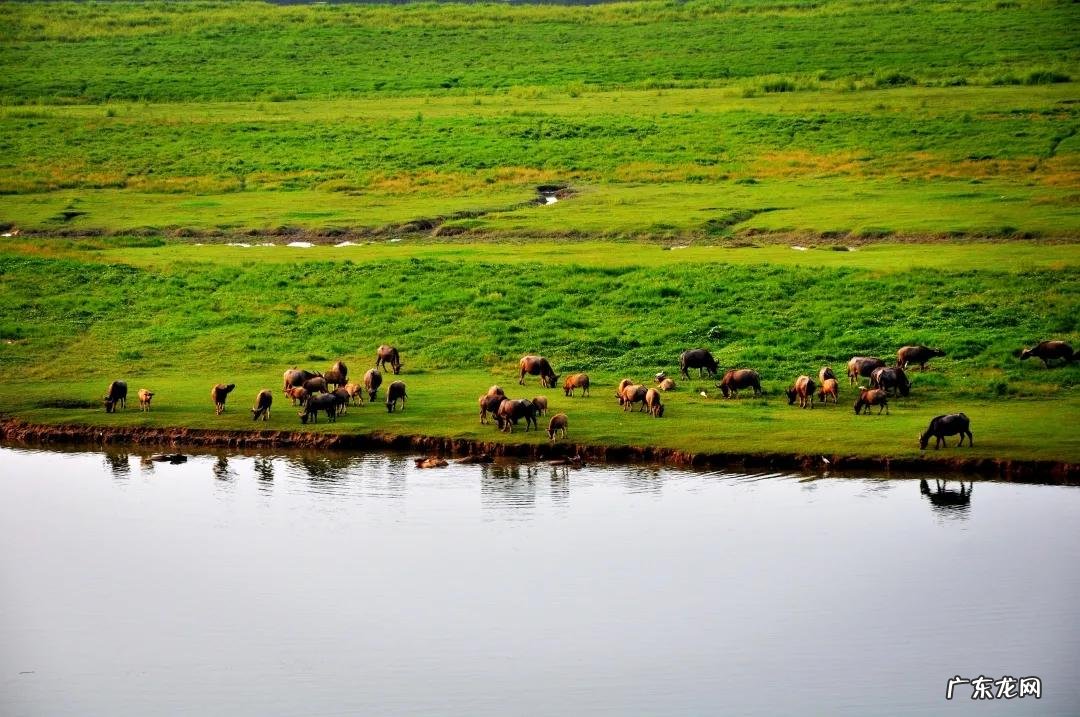 南充龙脉在哪里 南充龙角山景区