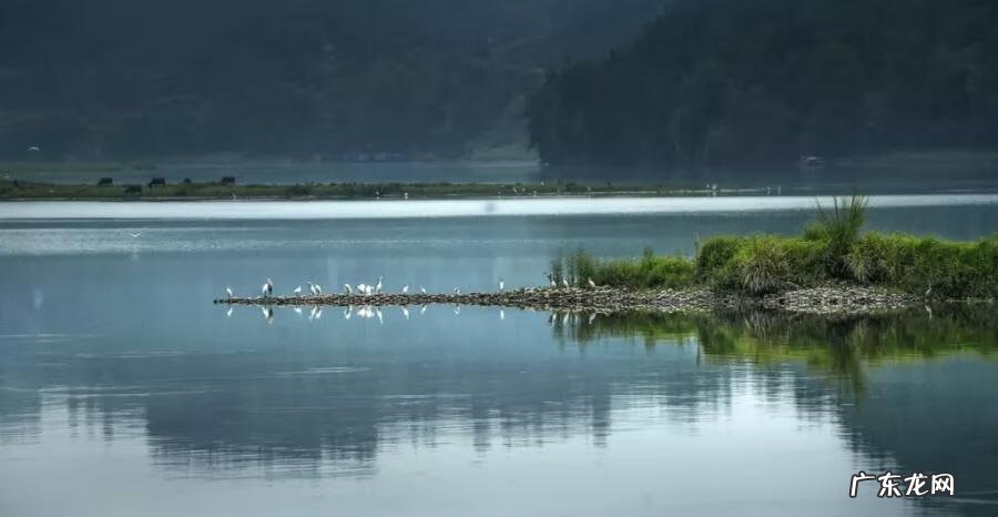南充龙脉在哪里 南充龙角山景区
