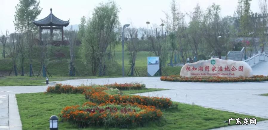 南充龙脉在哪里 南充龙角山景区